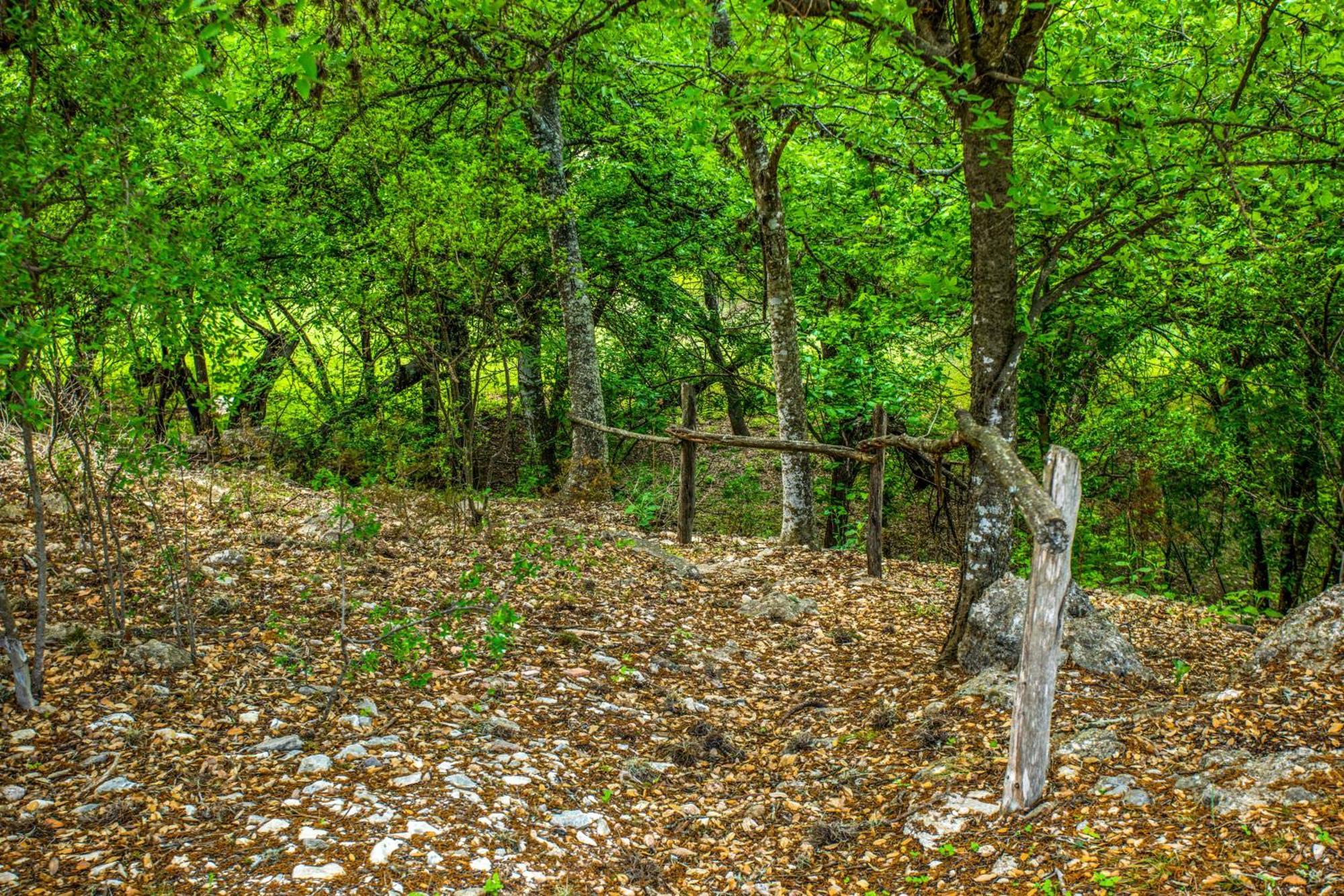 River Ridge Bandera Cabin Εξωτερικό φωτογραφία